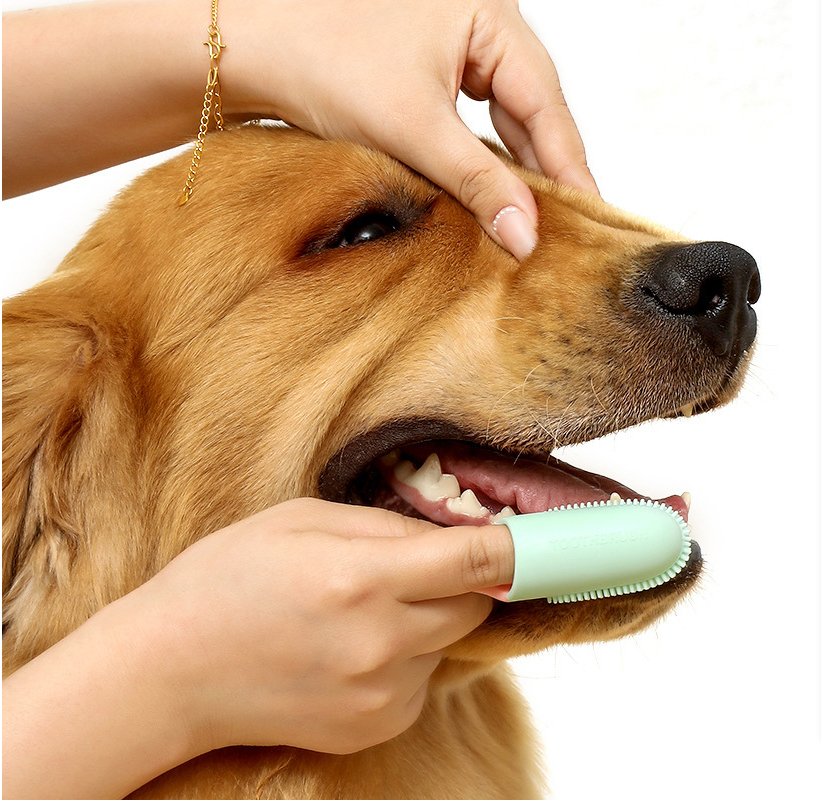 Pink 5-Pack Pet Finger Toothbrush Set for Dogs & Cats - Soft Silicone Dental Care Brush for Healthy Gums & Teeth