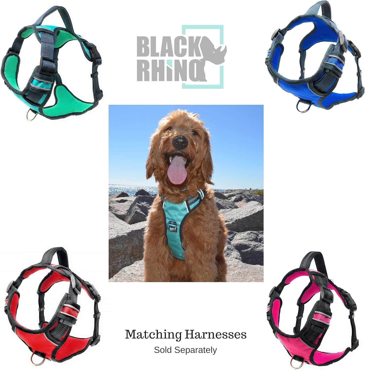 - Premium Hands Free Dog Leash for Running Walking Jogging & Hiking - Adjustable Length Dual Handle Bungee Leash Medium – Large Dog Neoprene Padded Handles - Free Running Pouch Pink/Bla