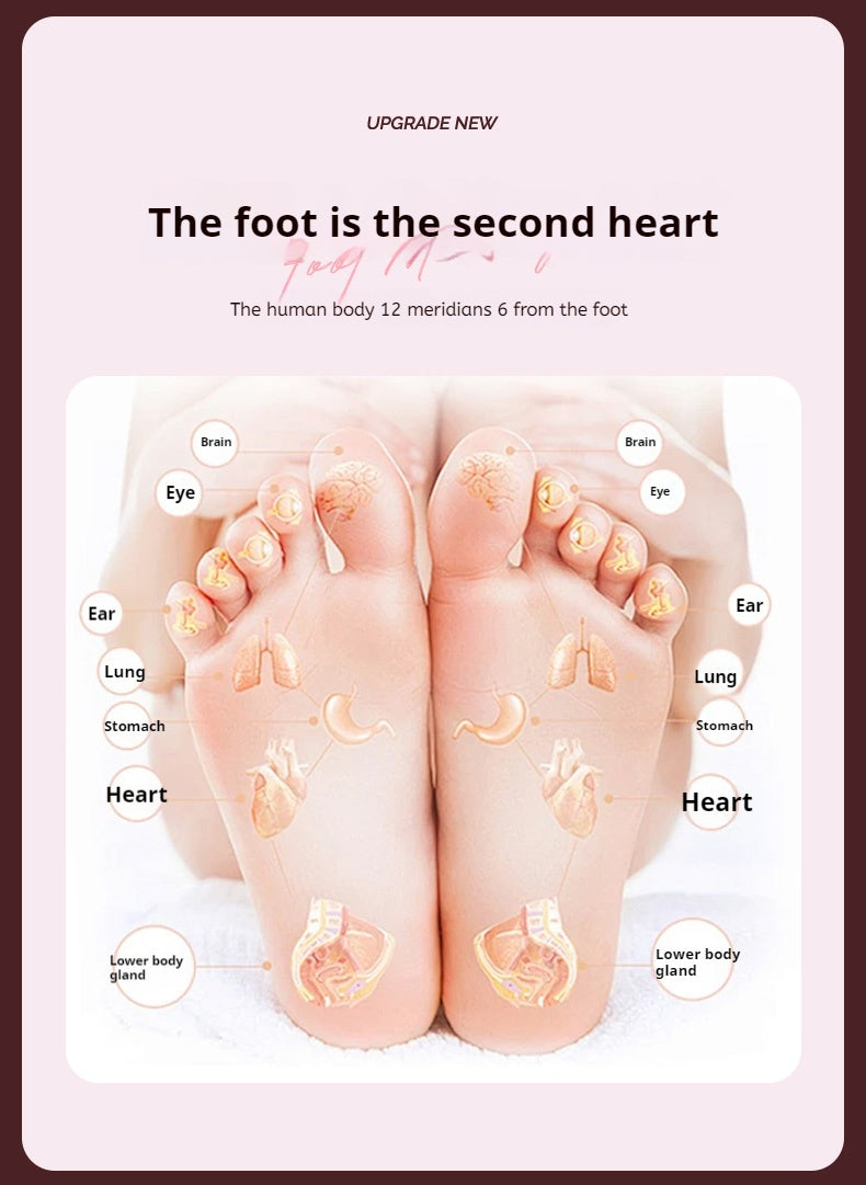 Magnetic Foot Massage & Waist Twisting Disc｜Home Body-Shaping Fitness Equipment, Silent Anti-Slip Dual-Function, Promotes Circulation & Improves...