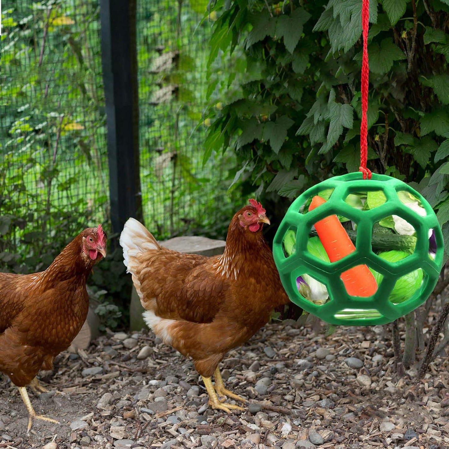 2pcs Chicken Vegetable Feeder Ball Hanging Feeding Toy, Poultry Fruit Holder Chicken Cabbage Feeder Treat Feeding Tool
