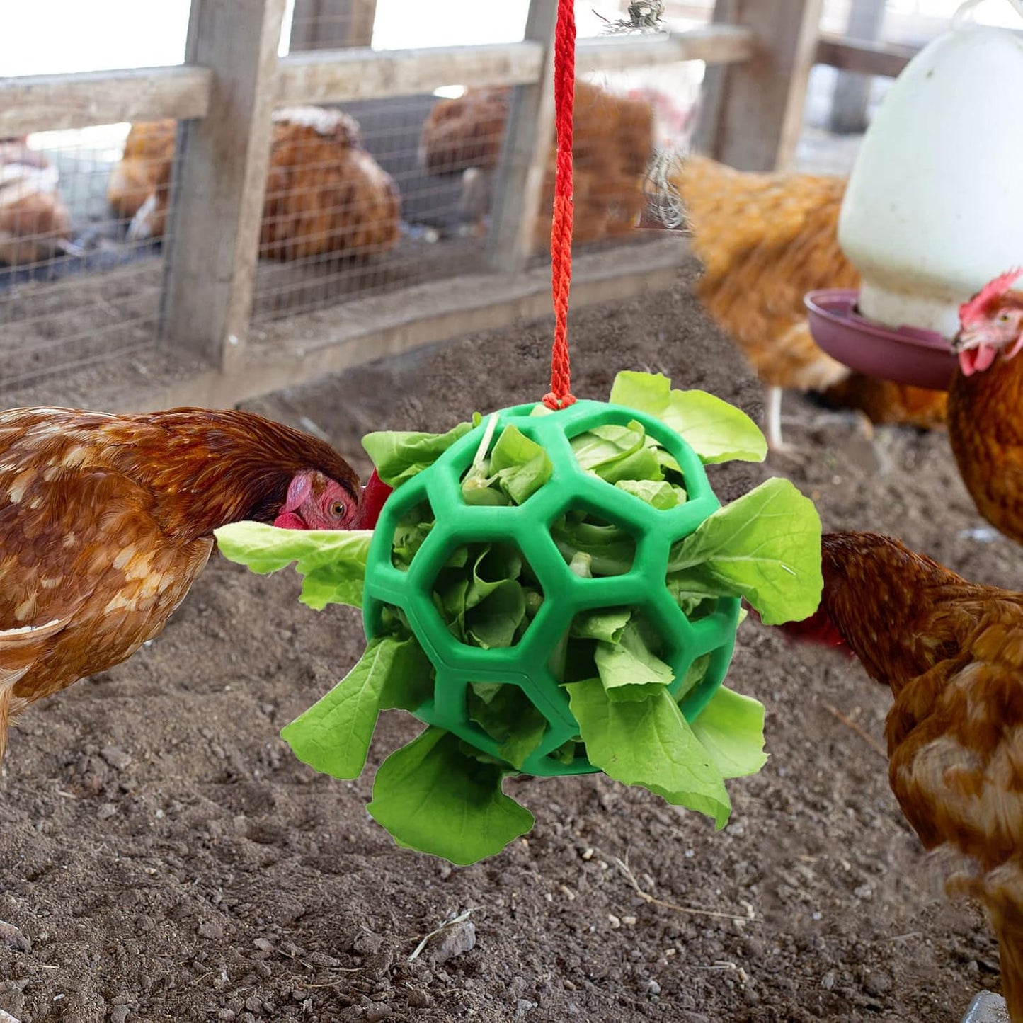 2pcs Chicken Vegetable Feeder Ball Hanging Feeding Toy, Poultry Fruit Holder Chicken Cabbage Feeder Treat Feeding Tool