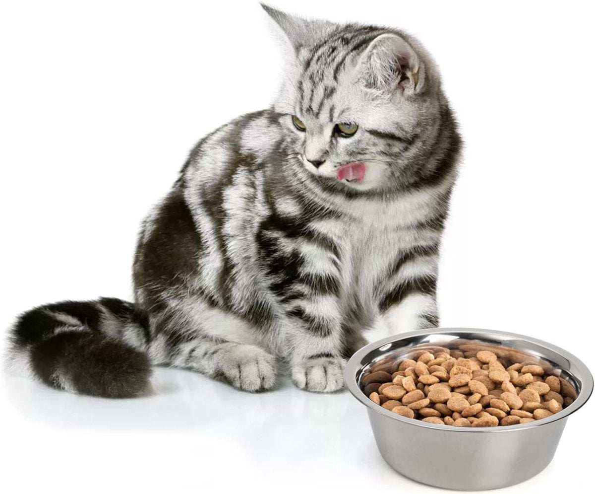4-Pack Stainless Steel Food and Water Bowls for Cats and Dogs - Pet Food and Water Bowls - Pet Bowls - For Large, Medium, and Small Dogs - Kitten...