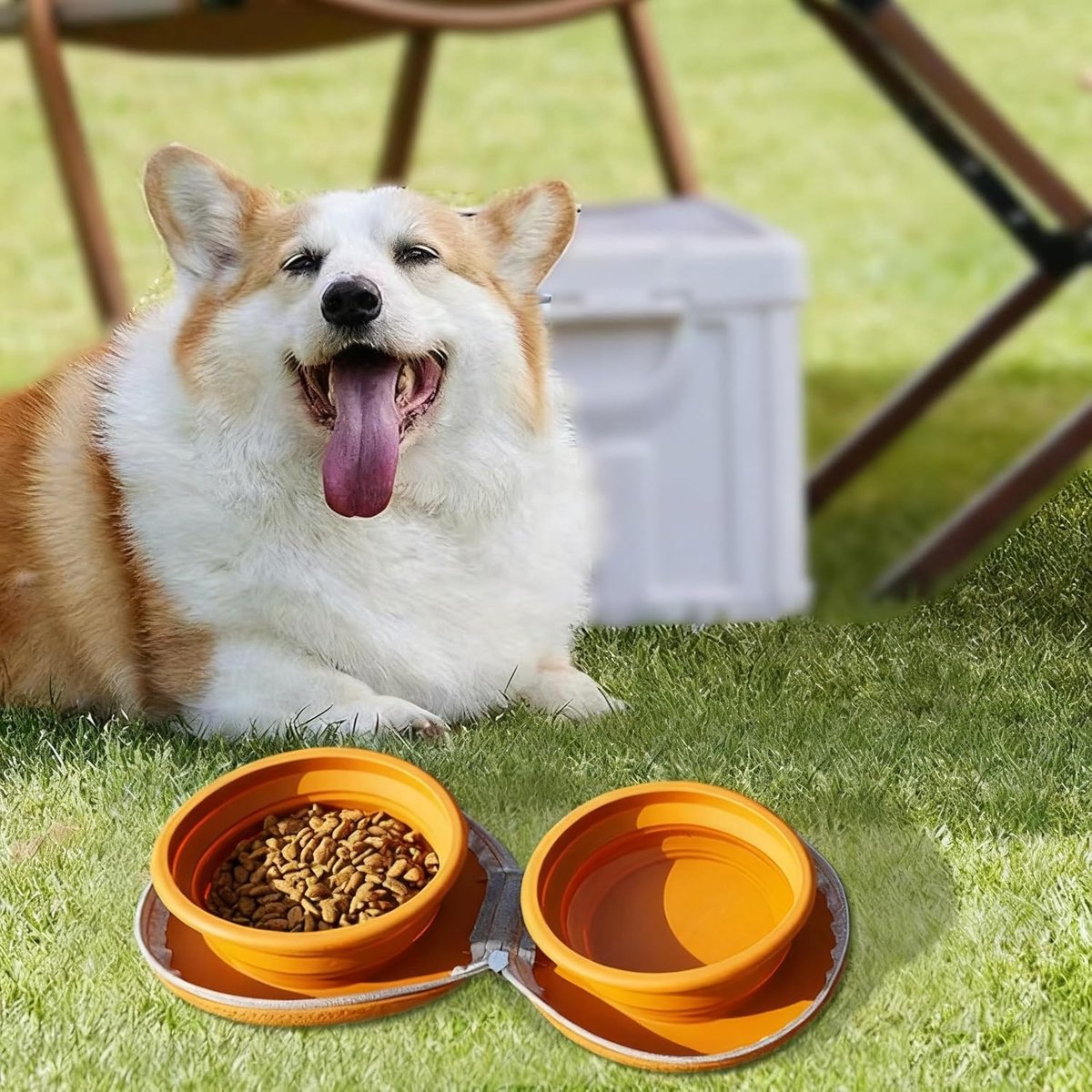 Dog Food Bowl - Foldable Dog Food Bowl - Outdoor Pet Food Bowl - 2-in-1 Dog Food Bowl - with Zippered Storage Bag and Carabiner - Suitable for...