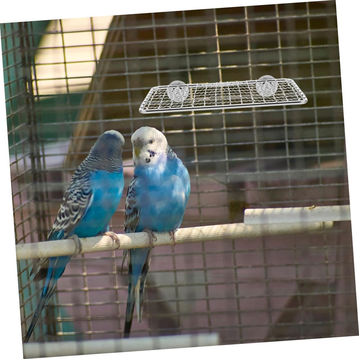 Bird Cage Accessories - Parrot Perch Made of Stainless Steel - Comfortable Resting Platform for Birds - Multifunctional Bird Cage Accessory -...