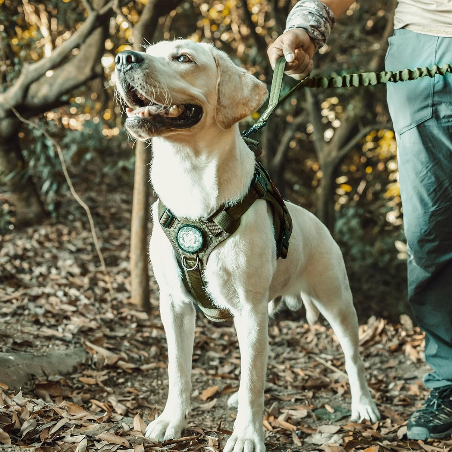 Dog Harness, Tactical Dog Harness No-Pull Breathable Adjustable Pet Vest with Handle for Outdoor Walking(Ranger Green,Small)